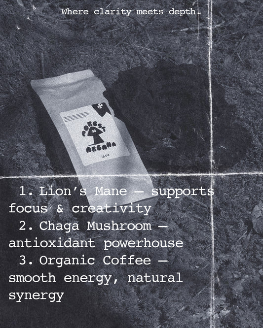 Forest Arcana Essentia - Lion’s Mane & Chaga 4oz