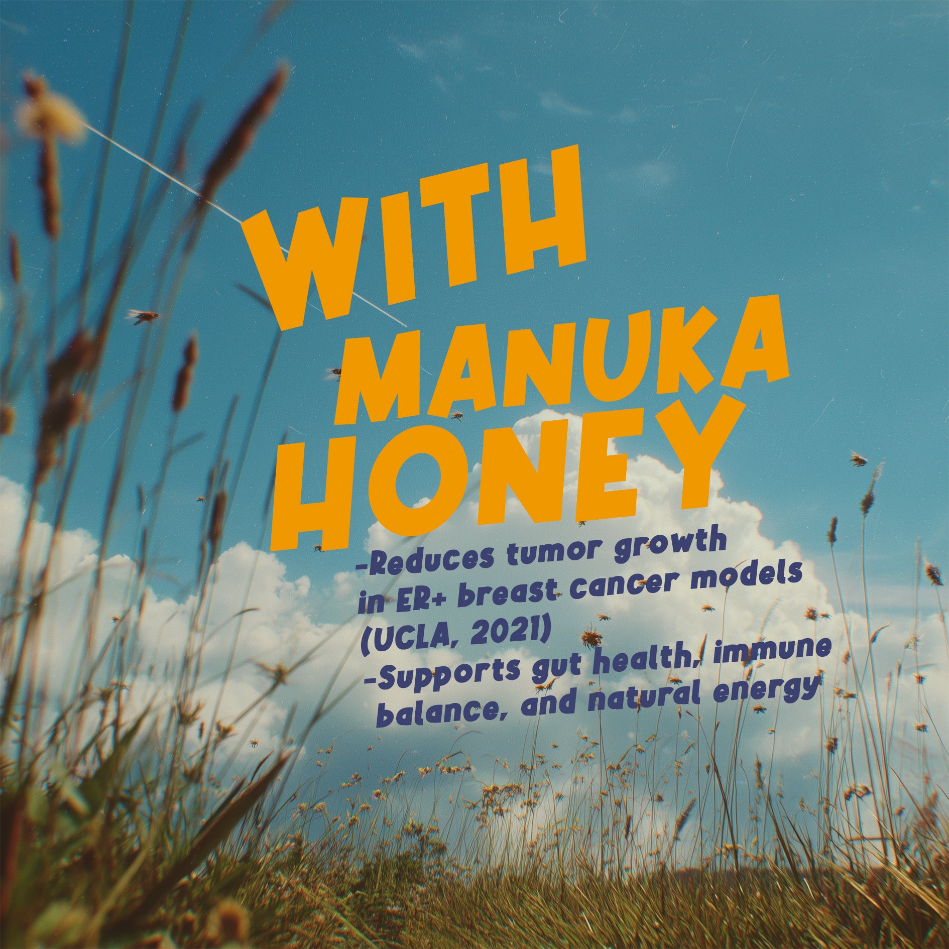 Manuka Aurora 16oz